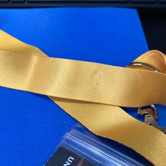 The Simpsons Universal Studio Lanyard - Picture 5 of 5